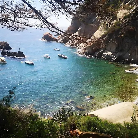 La Terrasse De La 6 Begur
